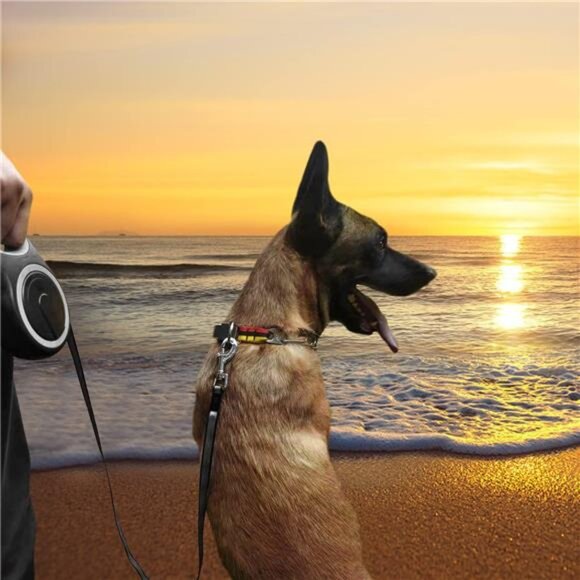 26Ft Retractable Dog Leash, Heavy Duty Great Leash for Dog up to 110 lbs - Picture 6 of 7